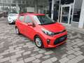 Kia Picanto 1.0 GPL 65cv URBAN USATO GARANTITO Rouge - thumbnail 1