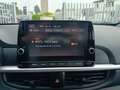 Kia Picanto 1.0 GPL 65cv URBAN USATO GARANTITO Rouge - thumbnail 12