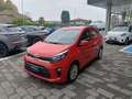 Kia Picanto 1.0 GPL 65cv URBAN USATO GARANTITO Rouge - thumbnail 3