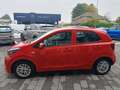 Kia Picanto 1.0 GPL 65cv URBAN USATO GARANTITO Rouge - thumbnail 4