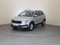 Skoda Karoq Ambition TDI Silber - thumbnail 1