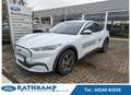 Ford Mustang Mach-E Basis Weiß - thumbnail 1