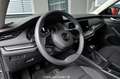 Skoda Octavia 1.5 TSI ACT Ambition Pickerl NEU Grau - thumbnail 13