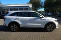 Kia Sorento Vision 4WD Plug-In Hybrid Weiß - thumbnail 5