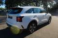 Kia Sorento Vision 4WD Plug-In Hybrid Weiß - thumbnail 6