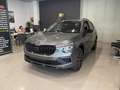 Skoda Kamiq 1.0 tsi Black Dots 95cv Gris - thumbnail 1