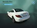 Mercedes-Benz SLC 300 SLC 300 AMG+COMAND+KAMERA+H&K+KAMERA+MEMORY+ILS White - thumbnail 7