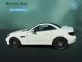Mercedes-Benz SLC 300 SLC 300 AMG+COMAND+KAMERA+H&K+KAMERA+MEMORY+ILS White - thumbnail 8