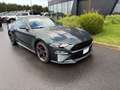 Ford Mustang Fastback 5.0 V8 - BULLITT - MAGNERIDE Vert - thumbnail 8