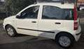 Fiat Panda 1.1 Active Eco Bianco - thumbnail 10