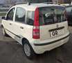 Fiat Panda 1.1 Active Eco Bianco - thumbnail 11