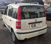 Fiat Panda 1.1 Active Eco Bianco - thumbnail 9
