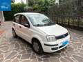 Fiat Panda Panda 1.1 Actual 5p Blanc - thumbnail 3