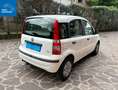 Fiat Panda Panda 1.1 Actual 5p Blanc - thumbnail 5