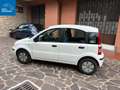 Fiat Panda Panda 1.1 Actual 5p Blanc - thumbnail 8