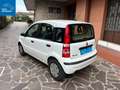 Fiat Panda Panda 1.1 Actual 5p Blanc - thumbnail 7