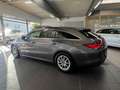 Mercedes-Benz CLA 180 CLA 180d Shooting Brake VIELE EXTRAS Gris - thumbnail 8