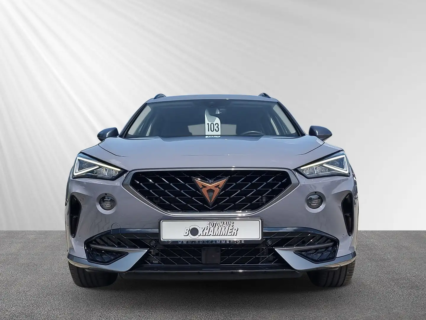CUPRA Formentor 2,0 TDI NAVI+AHK+ACC+RÜCK.KAM Gris - 2