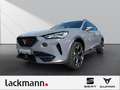 CUPRA Formentor 2.0 VZ 4Drive*Navi*LED*Kamera*Winterp.* Grau - thumbnail 1