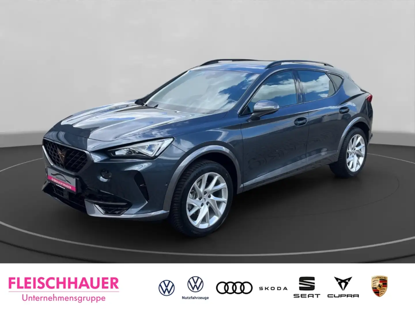 CUPRA Formentor 1.5 TSI AHK Navi Sitzheizung Kamera Gris - 1