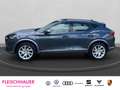 CUPRA Formentor 1.5 TSI AHK Navi Sitzheizung Kamera Gris - thumbnail 3