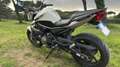 Yamaha XJ 6 Blanco - thumbnail 6