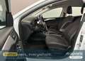 Ford Focus Turnier 1.0 EcoBoost Start-Stopp-System Weiß - thumbnail 9