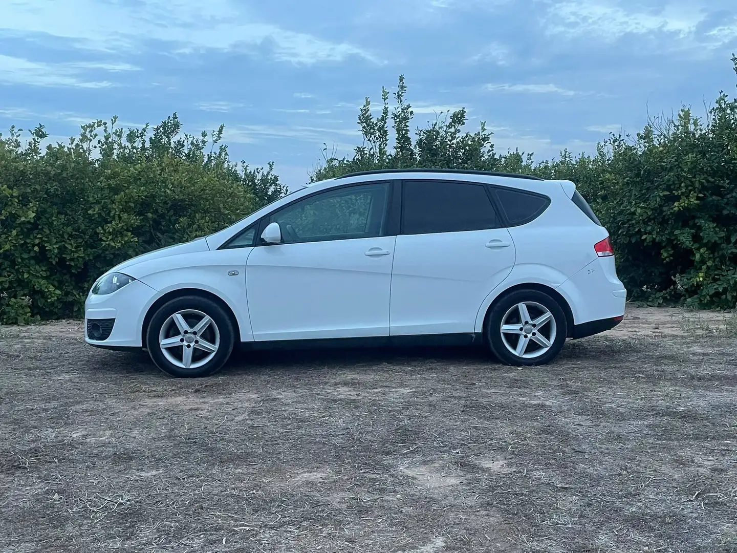 SEAT Altea XL Altea XL 1.6TDI CR S Blanco - 2