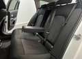 BMW 320 320d Touring mhev 48V xdrive aut * Carplay * LEDs Bianco - thumbnail 13