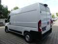 Fiat Ducato 2.2d Kasten 35 140 L2H2 NAVI/KAM/KLIMA Bílá - thumbnail 4