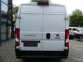Fiat Ducato 2.2d Kasten 35 140 L2H2 NAVI/KAM/KLIMA Белый - thumbnail 23