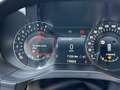 Ford S-Max 2.0 EcoBlue Aut. TITANIUM Grau - thumbnail 15