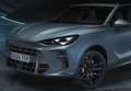 CUPRA Terramar 1.5 eTSI 110 DSG Gris - thumbnail 13
