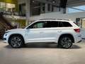 Skoda Kodiaq RS 4x4*Memory*360°*Canton* Weiß - thumbnail 2