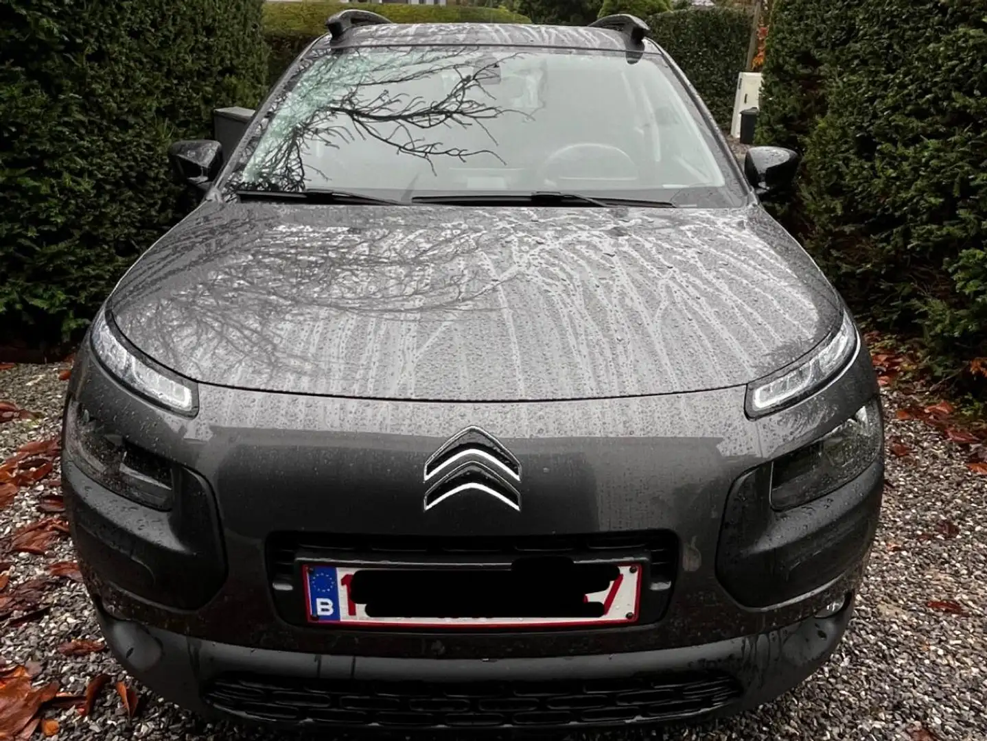 Citroen C4 Cactus C4 Cactus 1.2 PureTech Live Grijs - 1