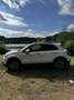 Fiat 500X 500X 1.4 T M-Air Cr.Plus SPORT PANORAMADAK H/LEDER Wit - thumbnail 4