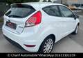 Ford Fiesta Trend Weiß - thumbnail 6