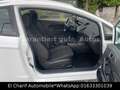 Ford Fiesta Trend Weiß - thumbnail 14
