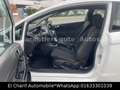 Ford Fiesta Trend Weiß - thumbnail 15