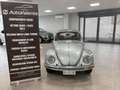 Volkswagen Maggiolino Coupe Grau - thumbnail 2