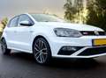 Volkswagen Polo GTI GTI 1.8 TSI Manuelle toit panoramqiue Fehér - thumbnail 5