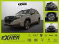 Subaru Forester 2.0ie - viel,viel Zubehör !!! AHK - Winterräder Grau - thumbnail 1