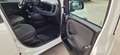 Fiat Panda Panda 1.0 firefly hybrid City Life s Bianco - thumbnail 8