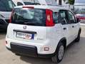 Fiat Panda Panda 1.0 firefly hybrid City Life s Bianco - thumbnail 5