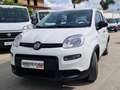 Fiat Panda Panda 1.0 firefly hybrid City Life s Bianco - thumbnail 1