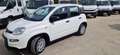 Fiat Panda Panda 1.0 firefly hybrid City Life s Bianco - thumbnail 2