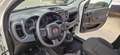 Fiat Panda Panda 1.0 firefly hybrid City Life s Bianco - thumbnail 12