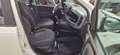 Fiat Panda Panda 1.0 firefly hybrid City Life s Bianco - thumbnail 9