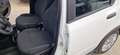 Fiat Panda Panda 1.0 firefly hybrid City Life s Bianco - thumbnail 13