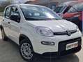Fiat Panda Panda 1.0 firefly hybrid City Life s Bianco - thumbnail 6
